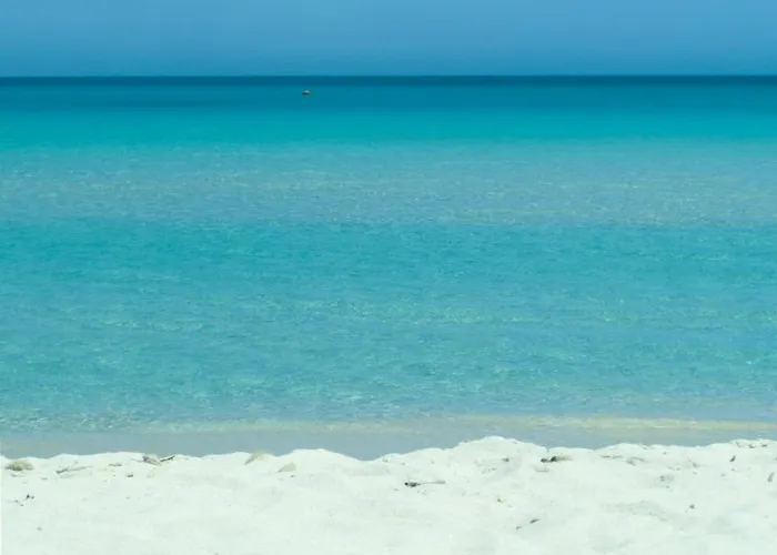 Relais Borgo Camisa Мини-отель